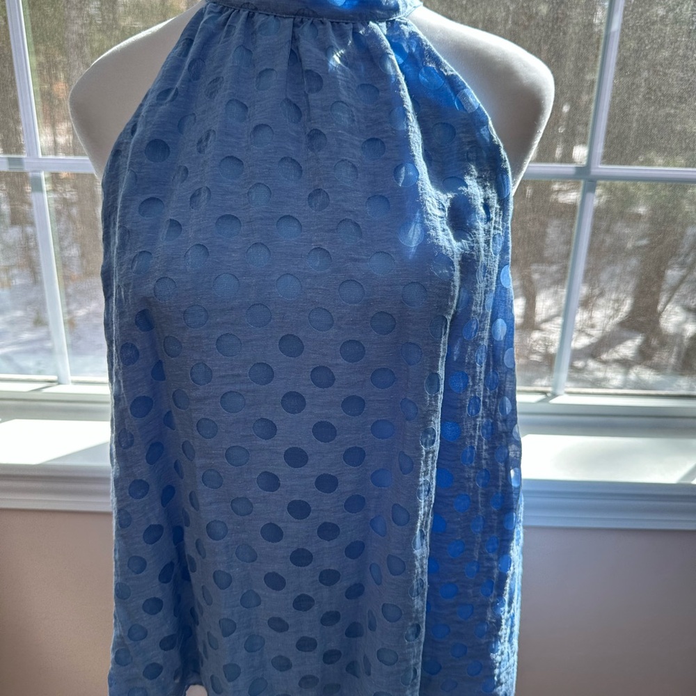 Blue Halter Neck Polka Dot Top